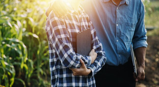 Asiatische Frau und Mann Bauer, die in einer Bio-Hydrokultur-Salat-Gemüsefarm mit Tablett zusammenarbeiten, prüfen die Qualität des Salats im Gewächshausgarten Intelligente Landwirtschaft