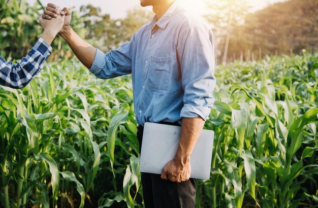 Asiatische Frau und Mann Bauer, die in einer Bio-Hydrokultur-Salat-Gemüsefarm mit Tablett zusammenarbeiten, prüfen die Qualität des Salats im Gewächshausgarten Intelligente Landwirtschaft