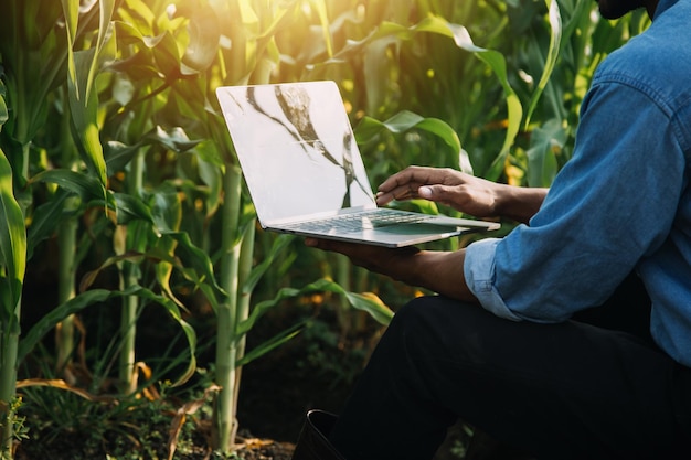 Asiatische Frau und Mann Bauer, die in einer Bio-Hydrokultur-Salat-Gemüsefarm mit Tablett zusammenarbeiten, prüfen die Qualität des Salats im Gewächshausgarten Intelligente Landwirtschaft