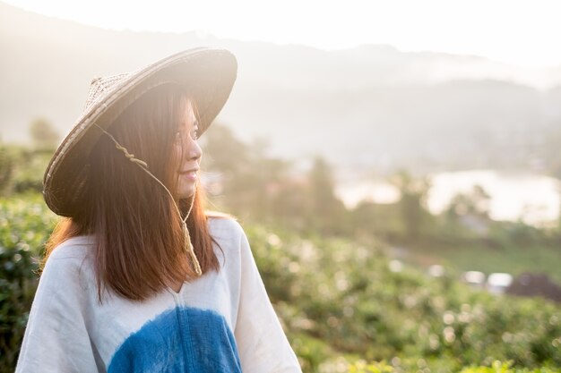 Asiatische Frauen im Plantagenhintergrund der grünen Tee