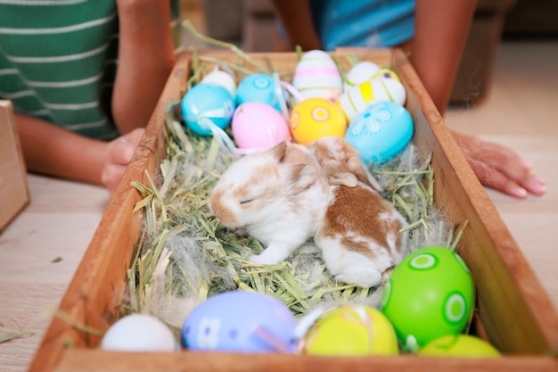 Asiatische Geschwisterkinder spielen mit Babyhäschen und dekorieren Ostereier, die sich zu Hause mit Spaß auf Ostern vorbereiten Glückliche Familie Frohe Ostern Frohe Feiertage