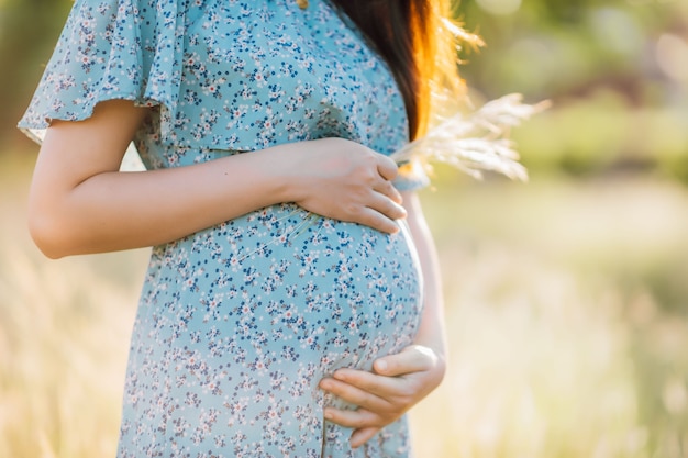 Asiatische junge schwangere Frau im blauen Kleid, die sich am Sommertag entspannt und das Leben in der Grasnatur genießt.