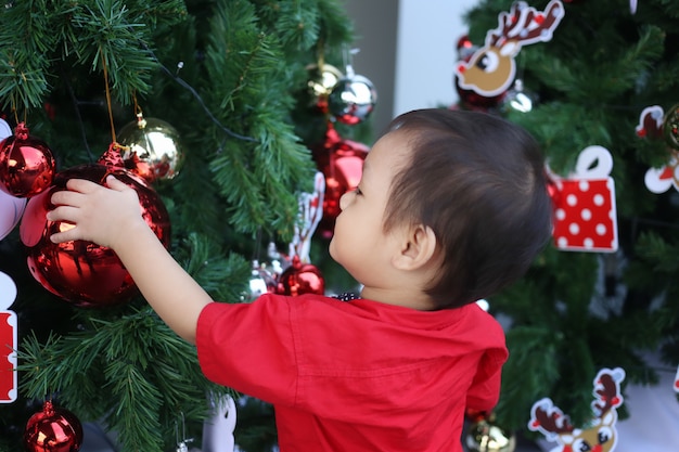 Asiatische Jungen interessieren sich für Weihnachtsbäume.