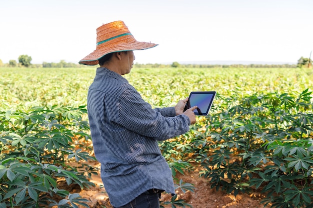 Asiatische Landwirte nutzen digitale Tablets, um Informationen zu sammeln und die Ernten auf ihren Feldern zu analysieren.