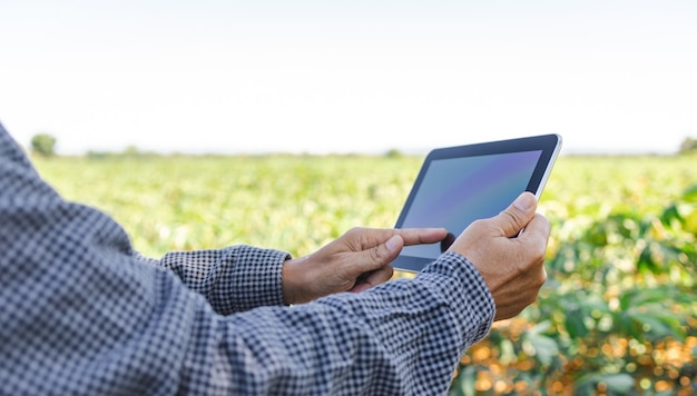 Asiatische Landwirte nutzen digitale Tablets, um Informationen zu sammeln und die Ernten auf ihren Feldern zu analysieren.