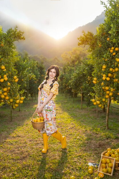 Foto asiatische orangenfarm im norden thailands.