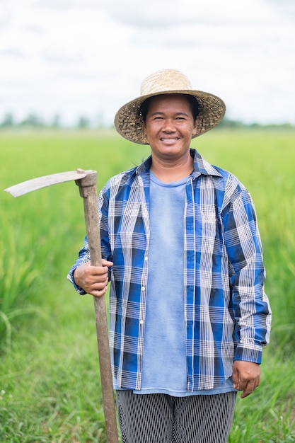 Asiatischer älterer Landwirt lächelt stehend und hält Werkzeug an der grünen Reisfarm