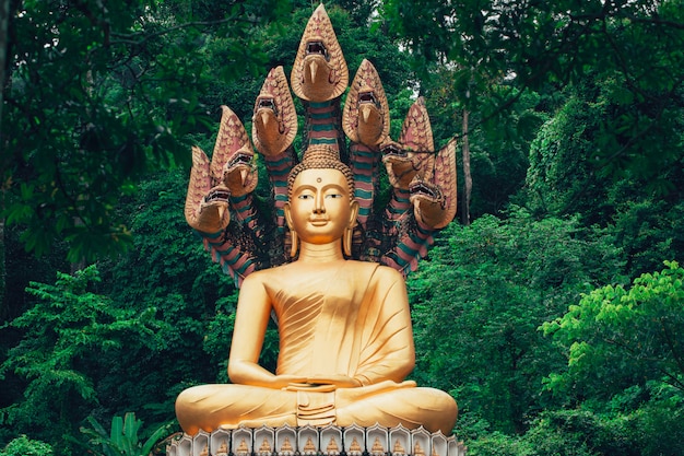 Asiatischer goldener Buddha im Wald