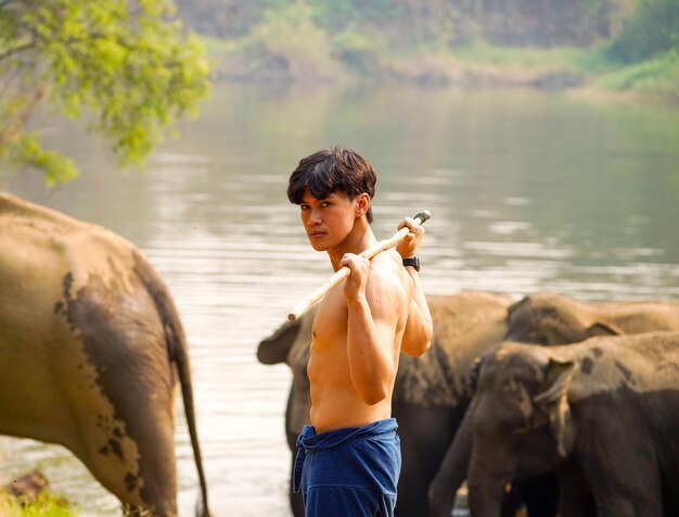 Asiatischer hübscher Mahout mit perfektem Körper, der auf dem Hintergrund einer Herde asiatischer Elefanten agiert