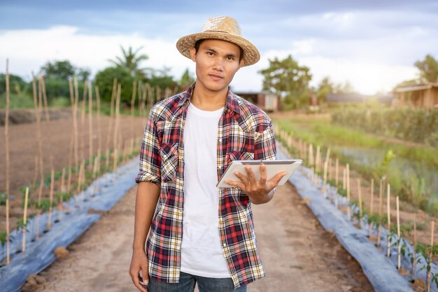 Asiatischer intelligenter Landwirt, der Tablette in seinem Biohof hält.