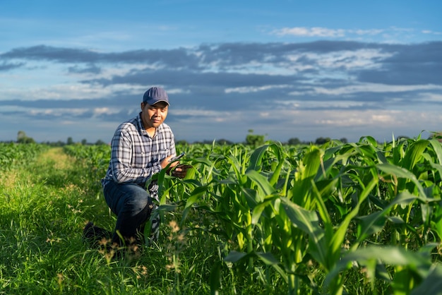 Asiatischer Jungbauer im Maisfeld arbeitet mit Mobiltelefon beim Anbau grüner Maisfelder Landwirtschaftskonzept Moderne digitale Technologien