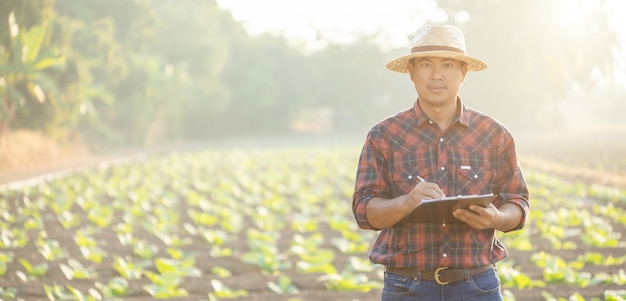 Asiatischer junger Landwirt, der auf dem Gebiet arbeitet