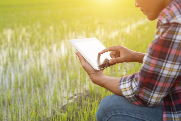 Asiatischer junger Landwirt, der Tablette am grünen Reisfeld verwendet