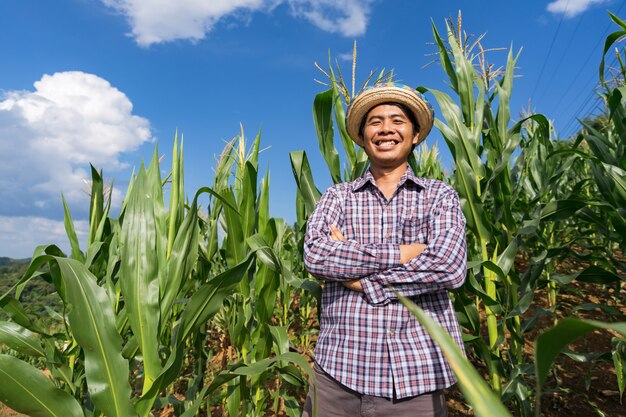 Asiatischer Landwirt im Hut, der auf seinem Bauernhof auf dem Maisgebiet unter blauem Himmel im Sommer steht