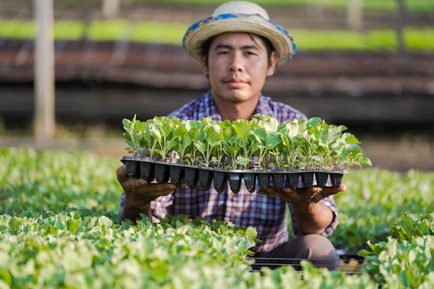 Asiatischer Landwirt im Hut, der junge Sämlinge in seinem Bauernhof im Gemüsegarten hält
