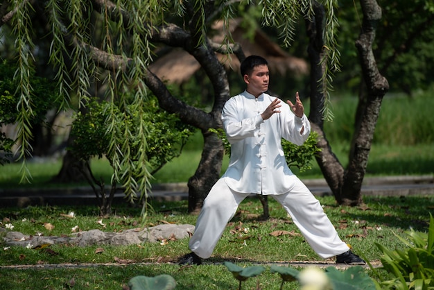 Asiatischer Mann, der morgens mit Tai Chi am Park, chinesische Kampfkünste, gesunde Sorgfalt für Lebenkonzept ausarbeitet.