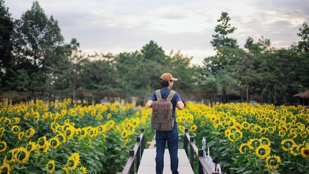 Asiatischer Mann, der zu Fuß geht und ein Foto im Hintergrund der Sonnenblumenfeldlandschaft machtKonzept der Reise in der Sommersaison in Thailand