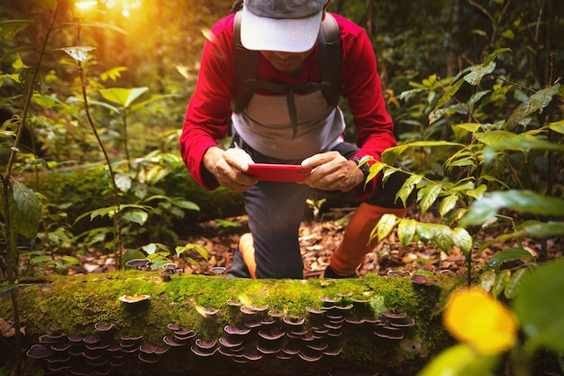 Asiatischer Rucksacktourist, der im tiefen Wald im Norden Thailands wandert und Foto macht