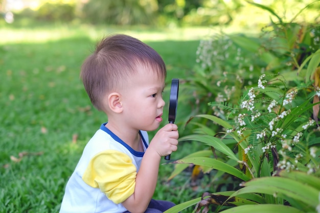 Asiatisches 2 - 3 Jahre altes Kleinkindjungenkind, das Umwelt durch Erkundung durch eine Lupe am sonnigen Tag erforscht