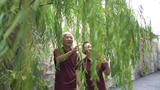 Asiatisches älteres Paar, das glücklich unter grünen Weiden gesprochen hat.