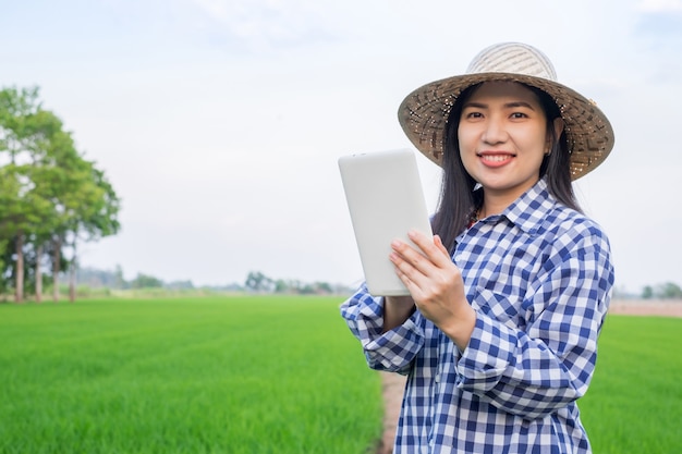 Asiatisches Bauernmädchenlächeln und unter Verwendung der Tablette mobil an der grünen Reisfarm