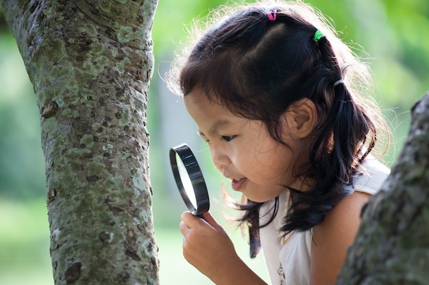 Asiatisches kleines Kindermädchen, das durch ein Vergrößerungsglas auf dem Baum im Park schaut