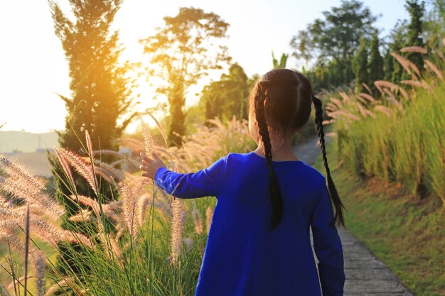 Asiatisches Kleinkindmädchen der hinteren Ansicht, das Hand zum Berühren des wilden Grases bei Sonnenuntergang verwendet.