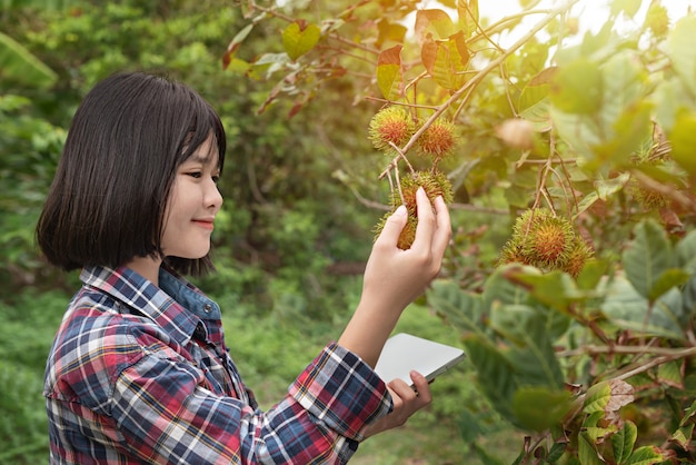 Asiatisches Mädchen, das Bericht organische Frucht prüft