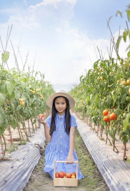 Asiatisches süßes kleines Mädchen mit roten Tomaten