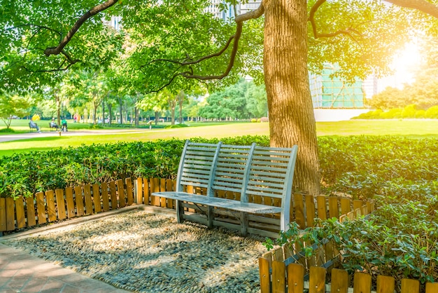 Asiento del parque