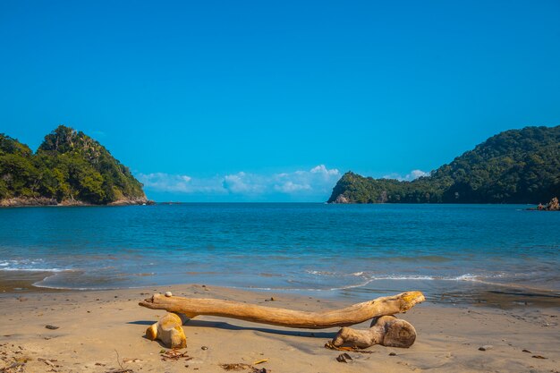 Un asiento en la playa de Puerto Caribe en Punta de Sal en el Mar Caribe, Tela. Honduras