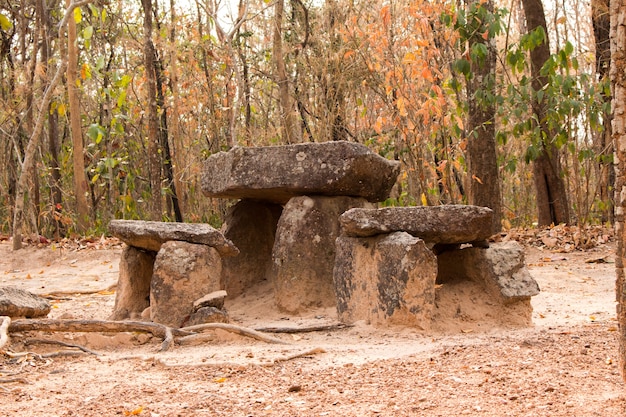 Asientos de bosque de piedra