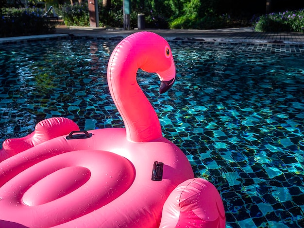 Asientos vacíos en el anillo inflable rosa, flamingo en la piscina con espacio para copiar. Anillo de natación Flamingo para vacaciones de verano.