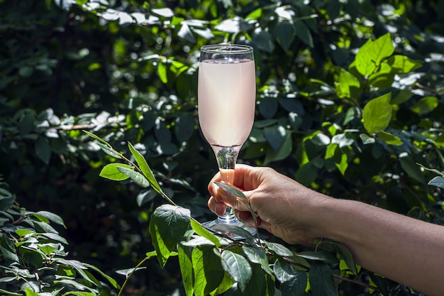 Asimiento de la mano femenina copa de vino con vino rosado contra de follaje verde en un día soleado.