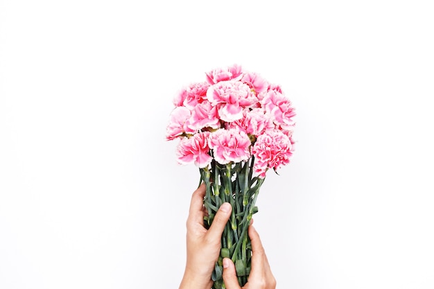 Asimiento de la mano de la mujer clavel rosado en el fondo blanco