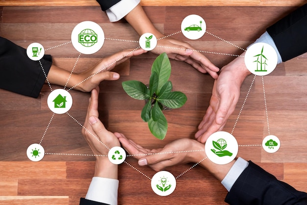 La asociación empresarial que nutre o crece la planta junto con el icono de carbono simboliza la protección ambiental sostenible de ESG con tecnología ecológica y solución de crédito de carbono para un futuro neto cero Reliance