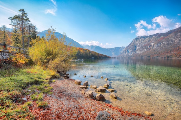 Asombrosa vista del lago Bohinj en otoño