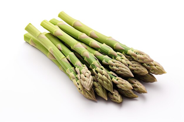 Asparagus-Photo-realistische Illustration Generative KI Asparagus grün schießt Gemüse