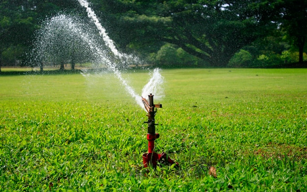 Aspersão de água no parque