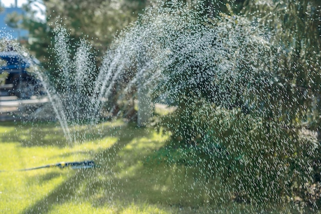 Aspersor de gramado do sistema de irrigação do gramado de rega