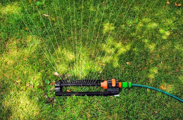 Aspersor de gramado espirrando água sobre a grama verde. Sistema de irrigação. luz de fundo