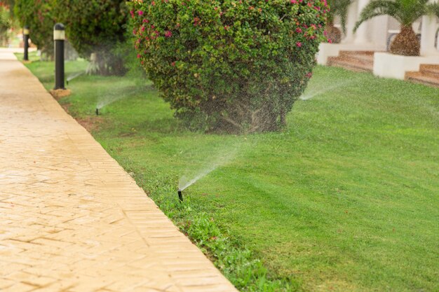 Aspersor en jardín regando el césped. Concepto de riego automático de céspedes.