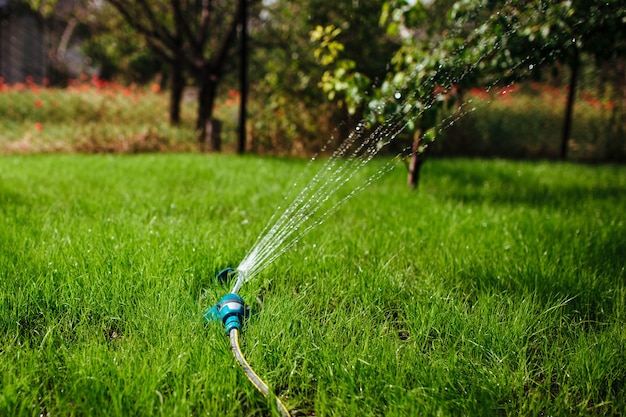 El aspersor de jardín riega el concepto de jardinería y paisajismo de césped