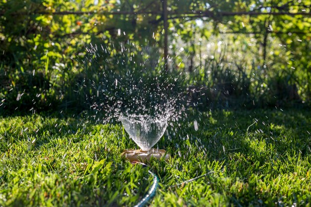 Aspersor de jardín universal sobre un césped verde con una fuente de agua