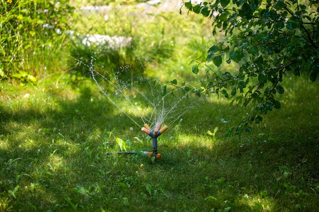 Aspersor en un jardín