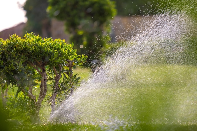 Aspersor de plástico que riega el césped con agua en el jardín de verano. Riego de la vegetación verde cavando la estación seca para mantenerla fresca.