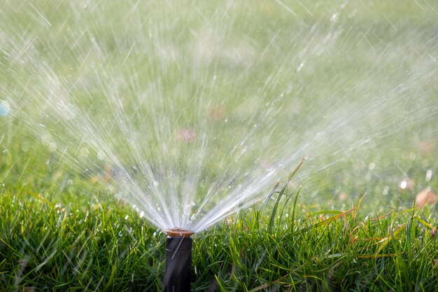 Aspersor de plástico que riega el césped con agua en el jardín de verano Riego de vegetación verde cavando la estación seca para mantenerla fresca