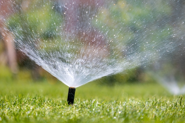 Aspersor de plástico regar el césped con agua en el jardín de verano