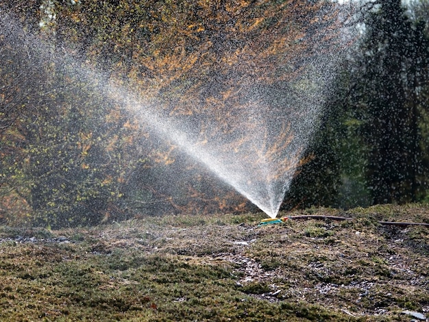 Aspersor rociando agua sobre el césped montañoso.