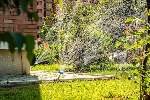 Aspersores automáticos para regar a relva, em forma de flor. o gramado é regado no verão. conveniente para casa